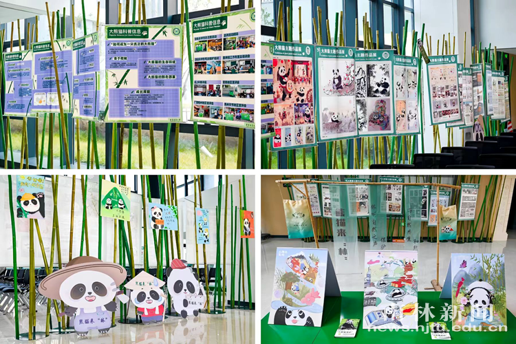 微信图片_20251231160727_42_2460_副本