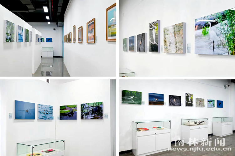 微信图片_20251231160726_41_2460_副本